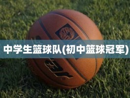 中学生篮球队(初中篮球冠军)