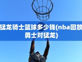 猛龙骑士篮球多少钱(nba回放勇士对猛龙)