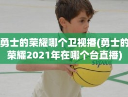 勇士的荣耀哪个卫视播(勇士的荣耀2021年在哪个台直播)