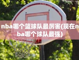 nba哪个篮球队最厉害(现在nba哪个球队最强)