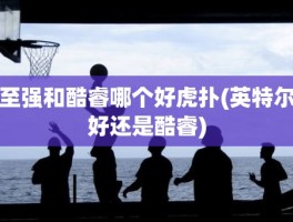 至强和酷睿哪个好虎扑(英特尔好还是酷睿)