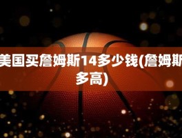 美国买詹姆斯14多少钱(詹姆斯多高)