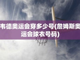 韦德奥运会穿多少号(詹姆斯奥运会球衣号码)