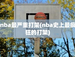 nba最严重打架(nba史上最疯狂的打架)