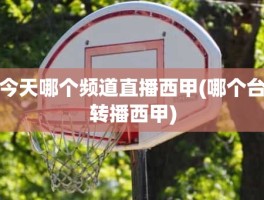 今天哪个频道直播西甲(哪个台转播西甲)