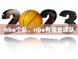 nba个队，nba有哪些球队