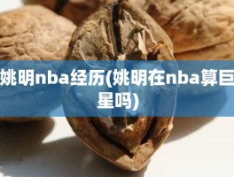 姚明nba经历(姚明在nba算巨星吗)