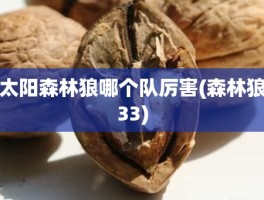 太阳森林狼哪个队厉害(森林狼33)
