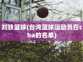 刘铁篮球(台湾篮球运动员在cba的名单)