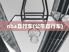 nba自行车(公牛自行车)