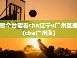 哪个台能看cba辽宁v广州直播(cba广州队)