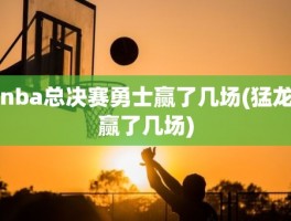 nba总决赛勇士赢了几场(猛龙赢了几场)