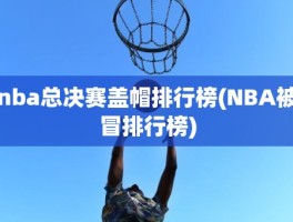 nba总决赛盖帽排行榜(NBA被冒排行榜)