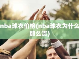 nba球衣价格(nba球衣为什么那么贵)