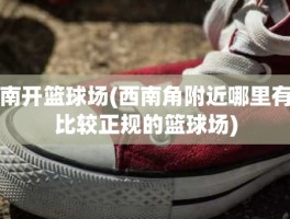 南开篮球场(西南角附近哪里有比较正规的篮球场)