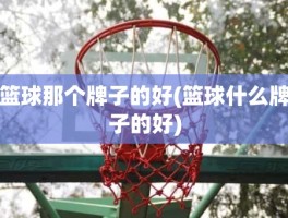 篮球那个牌子的好(篮球什么牌子的好)