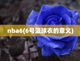 nba6(6号篮球衣的意义)