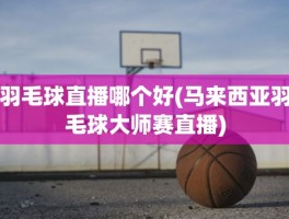 羽毛球直播哪个好(马来西亚羽毛球大师赛直播)