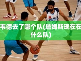 韦德去了哪个队(詹姆斯现在在什么队)