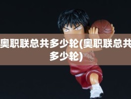 奥职联总共多少轮(奥职联总共多少轮)