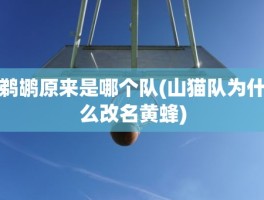 鹈鹕原来是哪个队(山猫队为什么改名黄蜂)