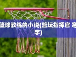 篮球教练的小说(篮坛指挥官 寒宇)