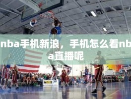 nba手机新浪，手机怎么看nba直播呢