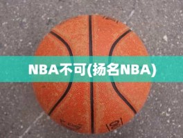 NBA不可(扬名NBA)