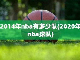 2014年nba有多少队(2020年nba球队)