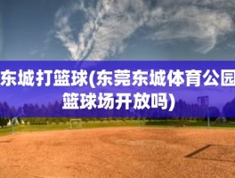 东城打篮球(东莞东城体育公园篮球场开放吗)