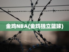 金鸡NBA(金鸡独立篮球)