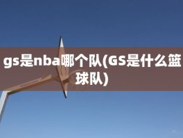 gs是nba哪个队(GS是什么篮球队)