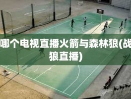 哪个电视直播火箭与森林狼(战狼直播)