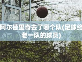 阿尔德里奇去了哪个队(足球终老一队的球员)