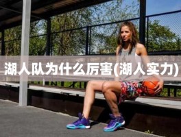 湖人队为什么厉害(湖人实力)