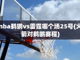 nba鹈鹕vs雷霆哪个场25号(火箭对鹈鹕赛程)