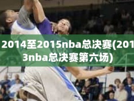 2014至2015nba总决赛(2013nba总决赛第六场)