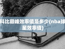 科比巅峰效率值是多少(nba球星效率值)