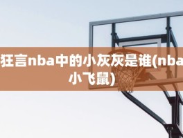 狂言nba中的小灰灰是谁(nba小飞鼠)