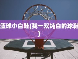 篮球小白鞋(我一双纯白的球鞋)