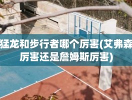 猛龙和步行者哪个厉害(艾弗森厉害还是詹姆斯厉害)