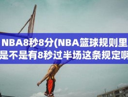 NBA8秒8分(NBA篮球规则里是不是有8秒过半场这条规定啊)