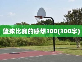 篮球比赛的感想300(300字)