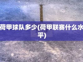 荷甲球队多少(荷甲联赛什么水平)