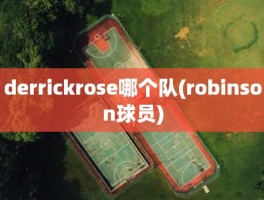 derrickrose哪个队(robinson球员)