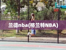 兰德nba(格兰特NBA)