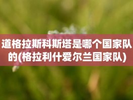 道格拉斯科斯塔是哪个国家队的(格拉利什爱尔兰国家队)