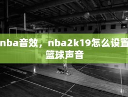 nba音效，nba2k19怎么设置篮球声音