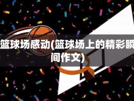 篮球场感动(篮球场上的精彩瞬间作文)