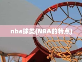 nba球类(NBA的特点)